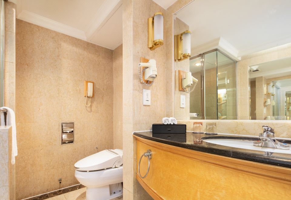 紫金山景豪華雙床房-住在城市看山景