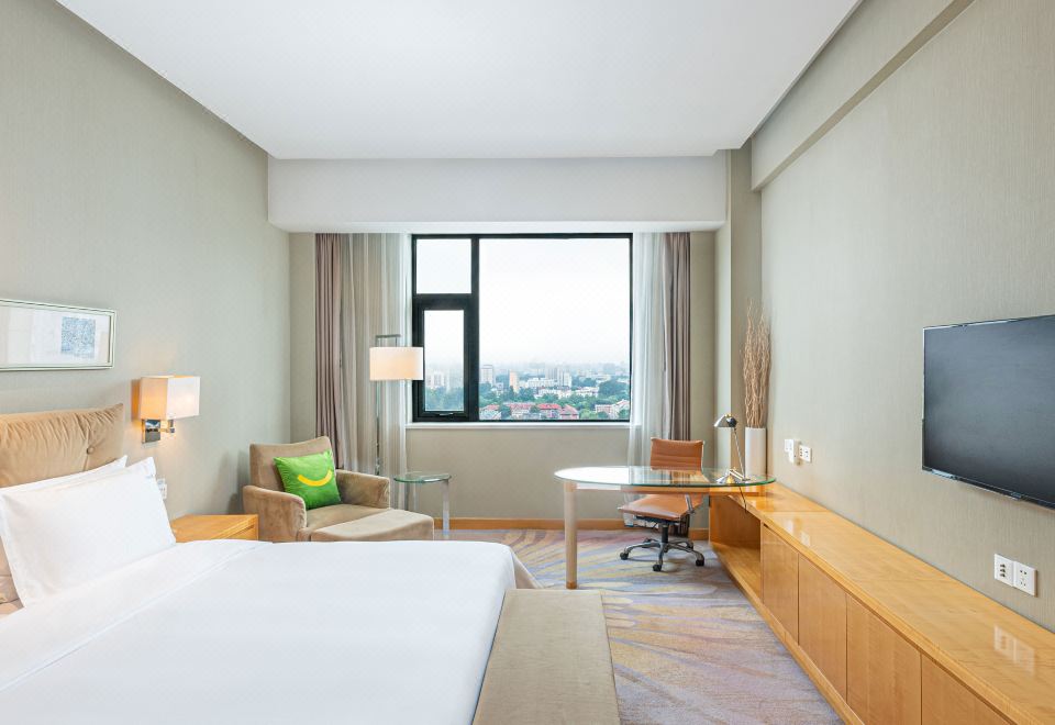 高级大床房 城市景观