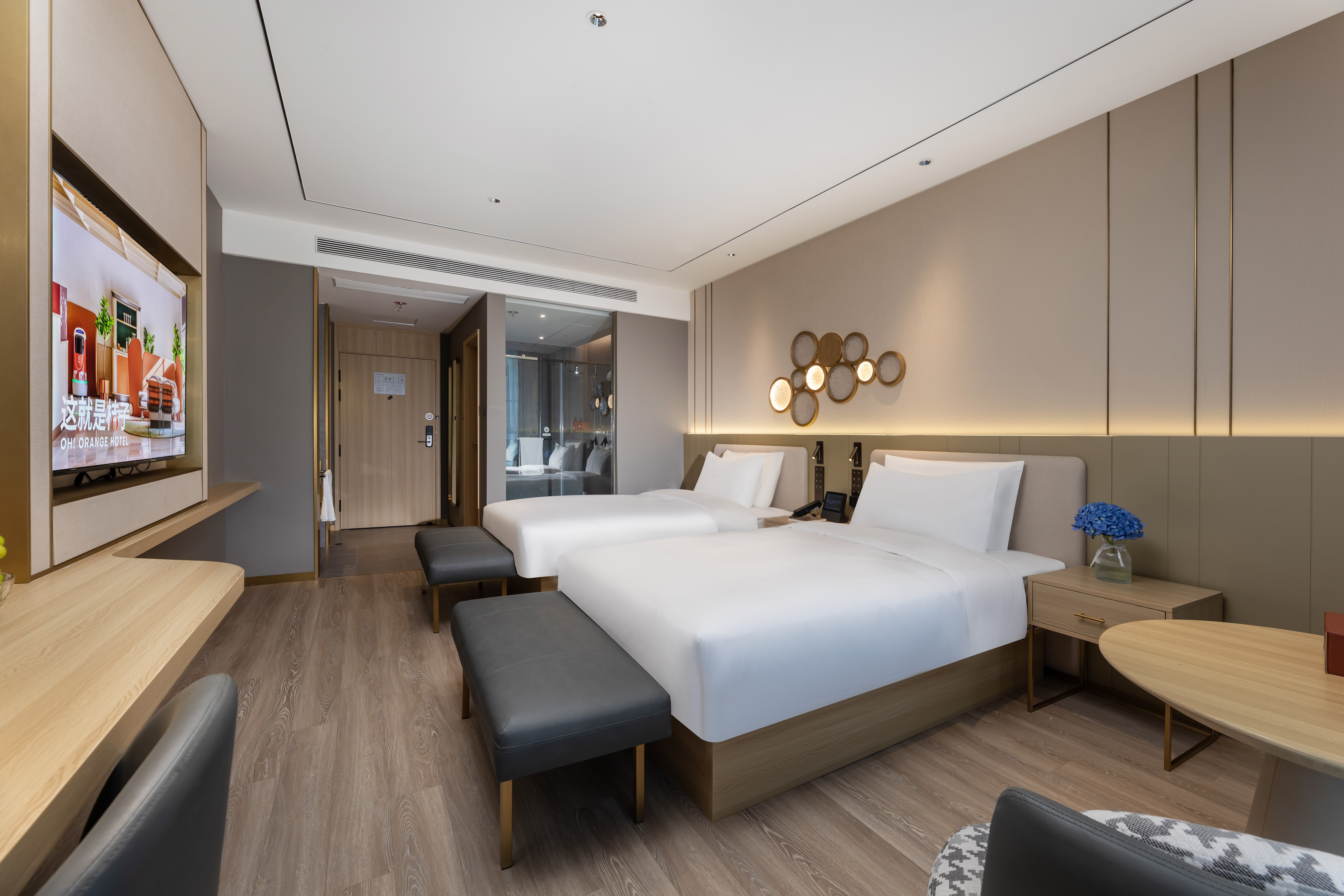 双床房（智控+投屏+小冰箱）