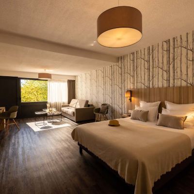 Deluxe Family Room Le Bois d'Imbert Promo Code
