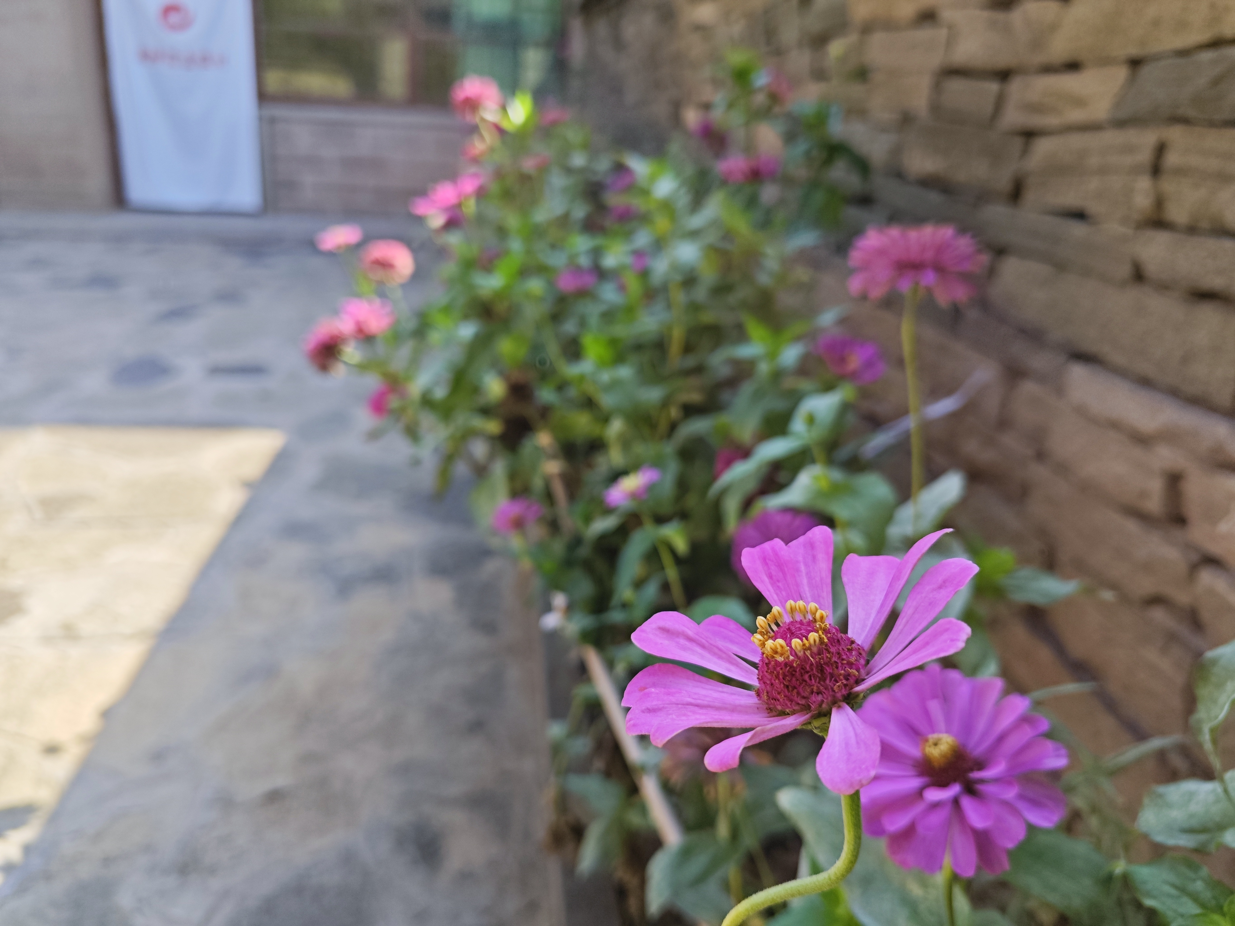 風情窯洞親子房