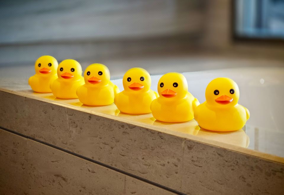 Sheraton Hotel KaifengFamily-friendly 2-bed Room