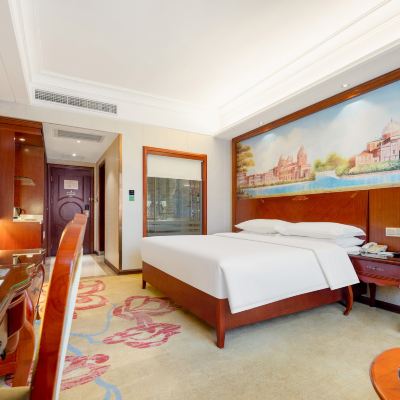 豪華雙拼房（滾來滾去特大床） 維也納國際酒店（鹿寨店）優惠