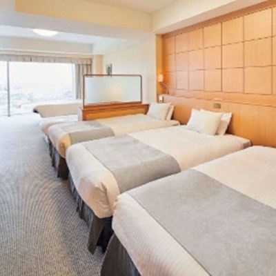 Casual Room Type 5 With Balcony ホテルエミオン東京ベイ クーポン