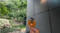 Shanhai Premium Guesthouse (Aranya Wuling Mountain)