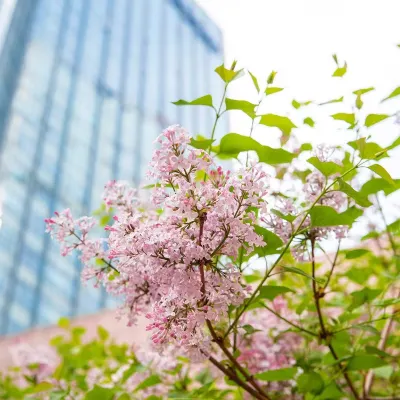 Grand Millennium Beijing Hotels near Guomao Station