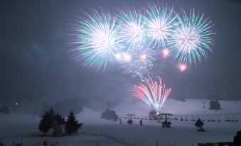 a nighttime scene with a large group of people gathered in front of a snowy mountain , watching a fireworks display at Naeba Prince Hotel