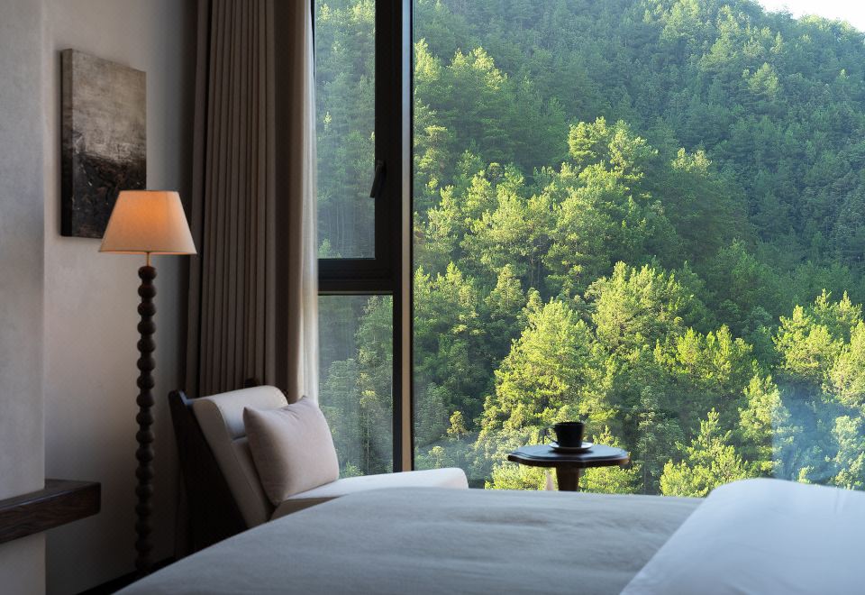 奚苝.观景双床房-零压床垫︱智能客控︱极米投屏