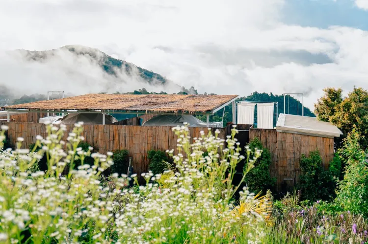 สกายโดม