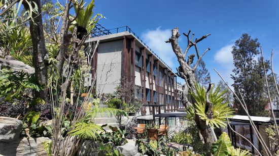 Jambuluwuk Bromo Poshtel