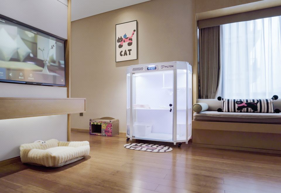 萌宠套房A-猫猫专属