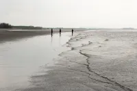CAMP CAYLA - COASTA