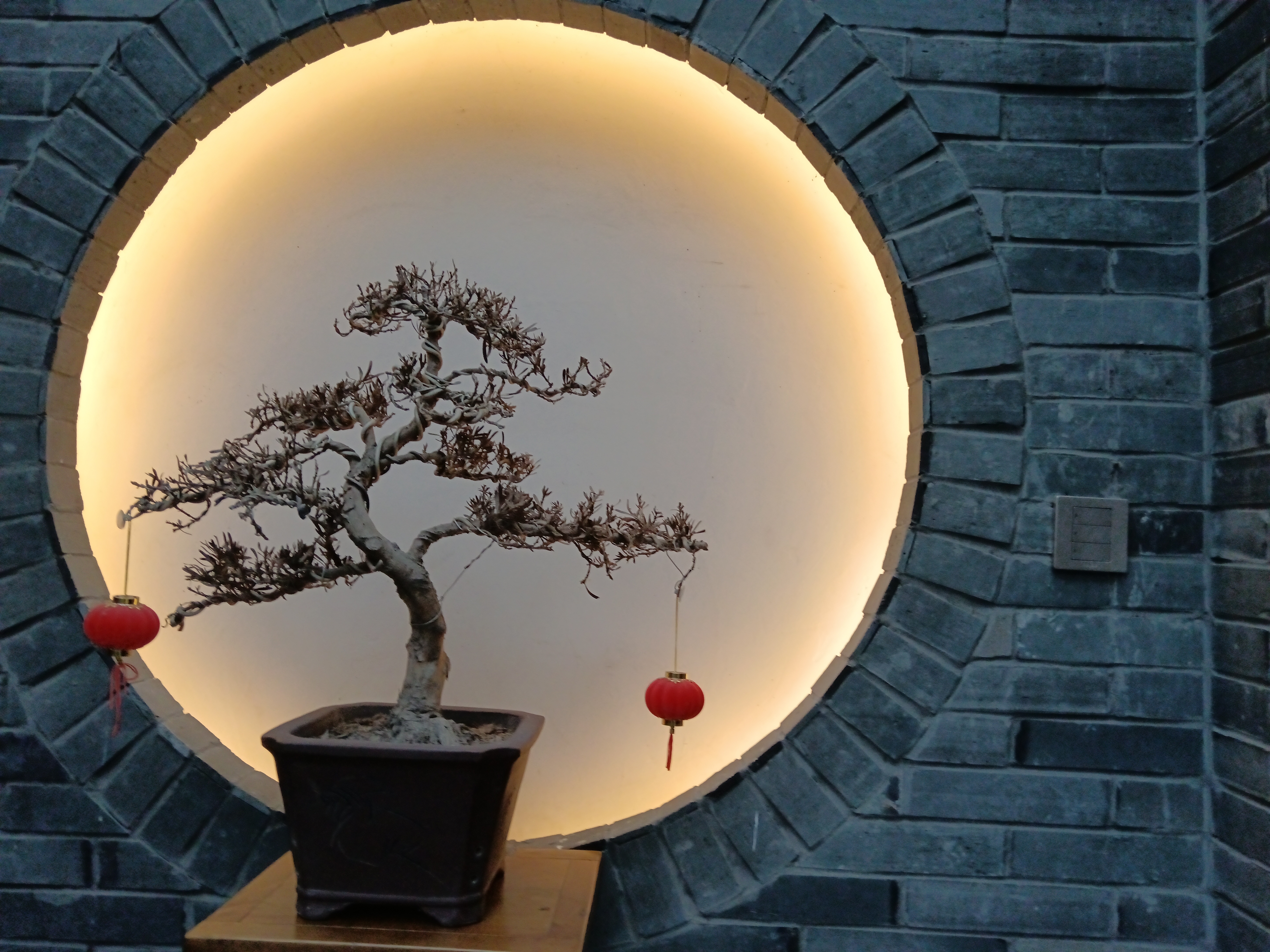 Xiang Zhang Shu Hotel龙吟·私域一室一厅一床一榻·庭院房