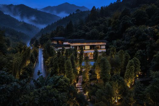 Self-Healing Forest Therapy