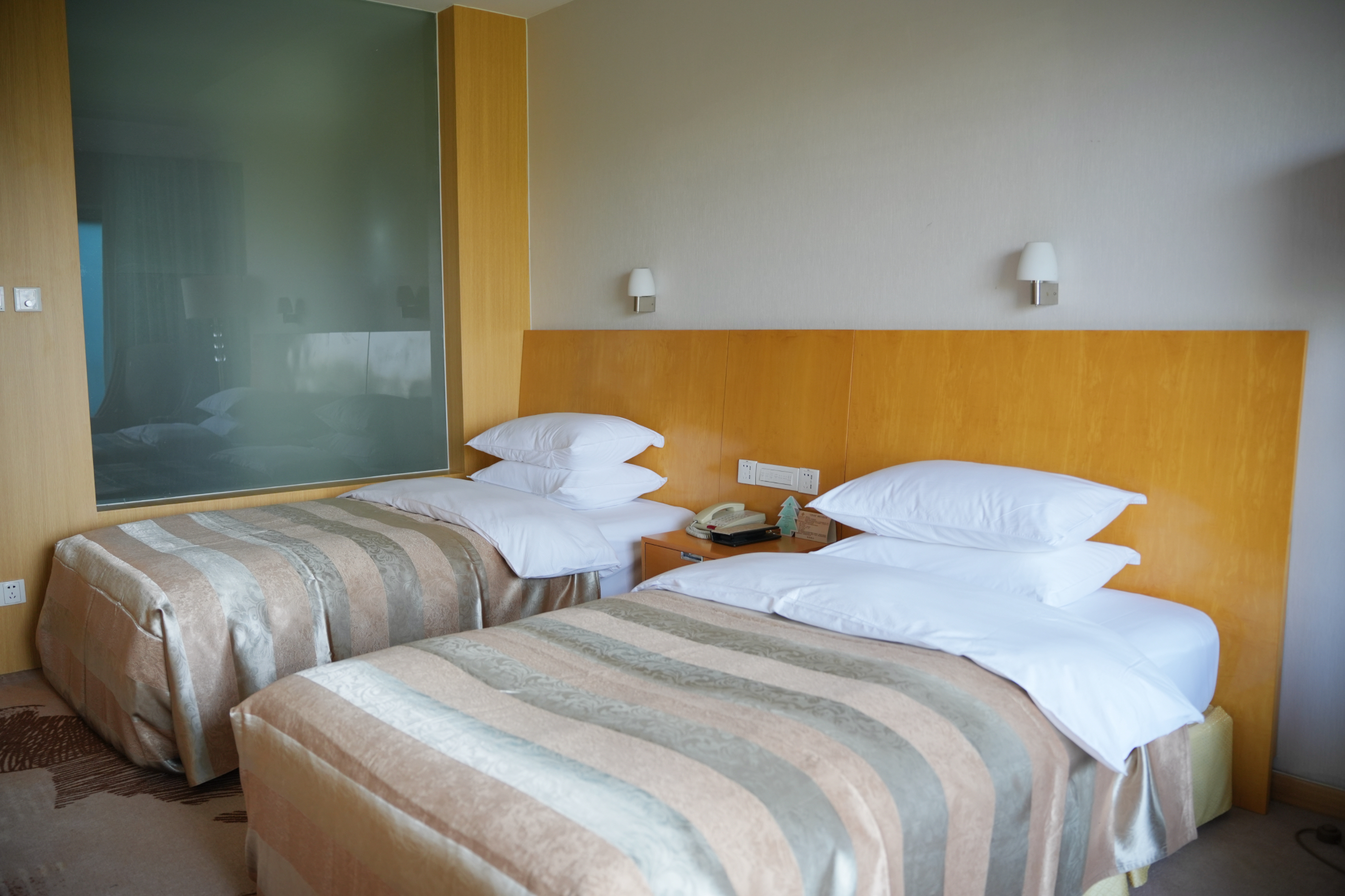 金陵商务房双床房