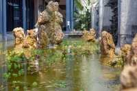 Sierte Hotel (Zigong Fangte Dinosaur Kingdom)