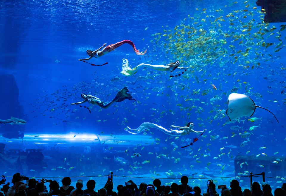 Hyatt Regency Hainan Ocean Paradise ResortParadise Enjoy Twin Room