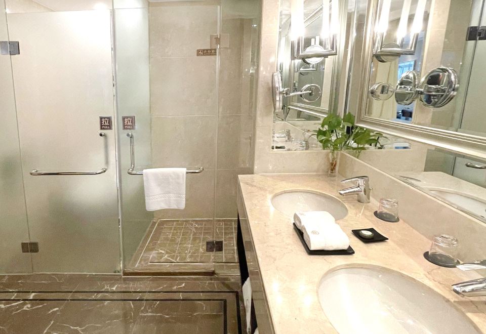 雅致雙床房（無窗）