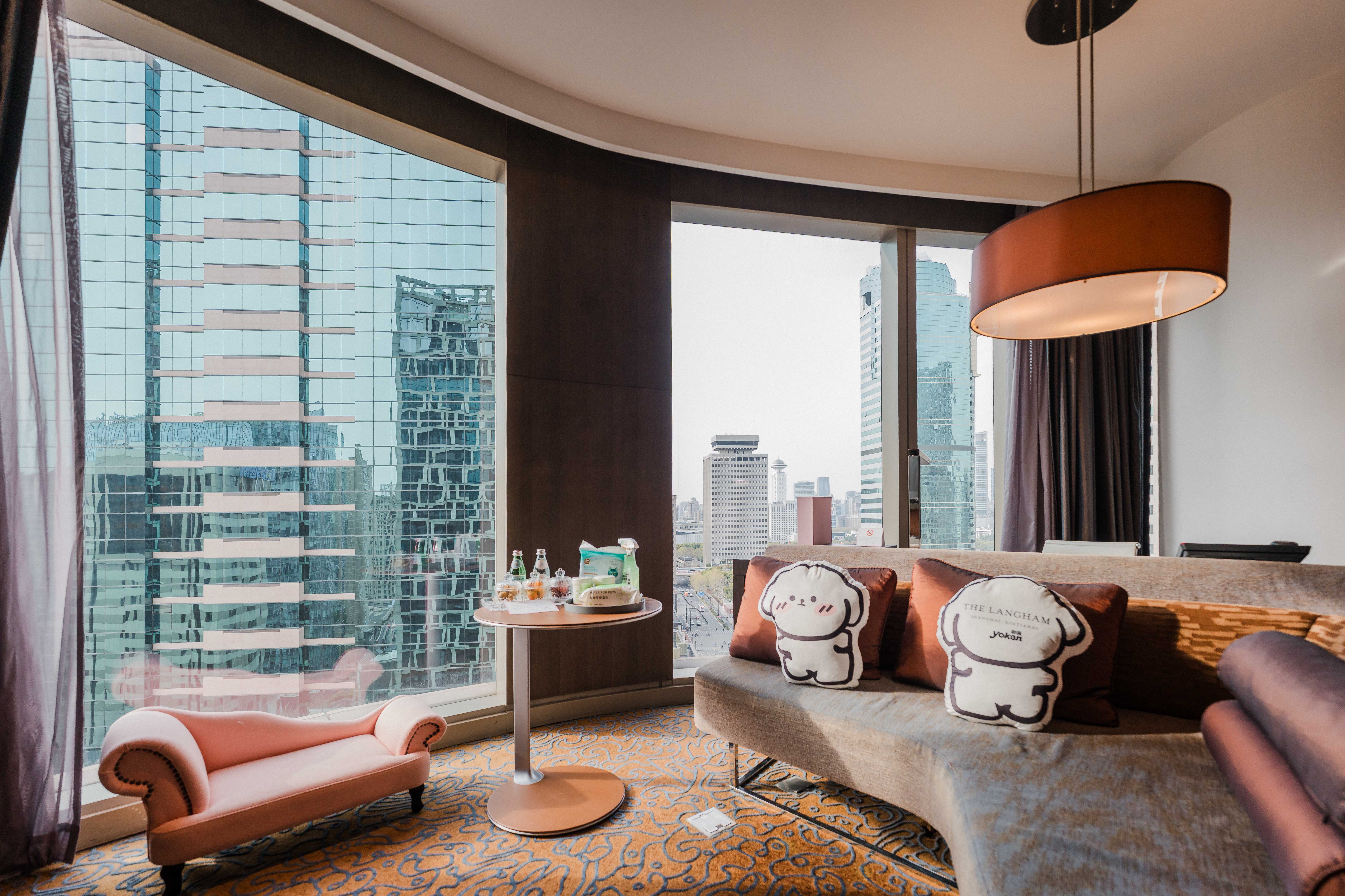 宠物友好行政单卧套房