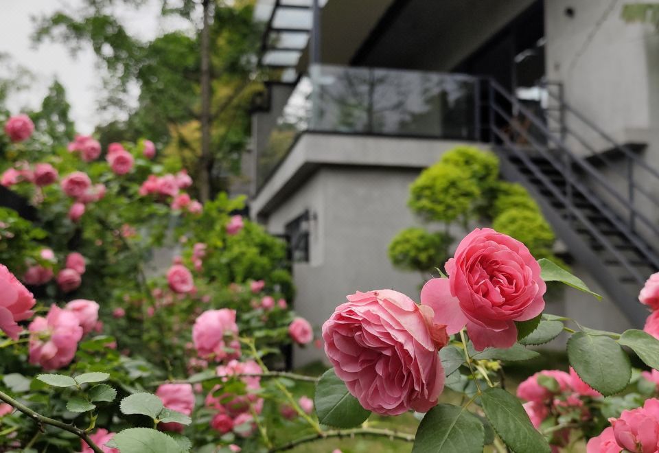 扶摇私汤大床房【全屋地暖·智能马桶·金可儿床垫】