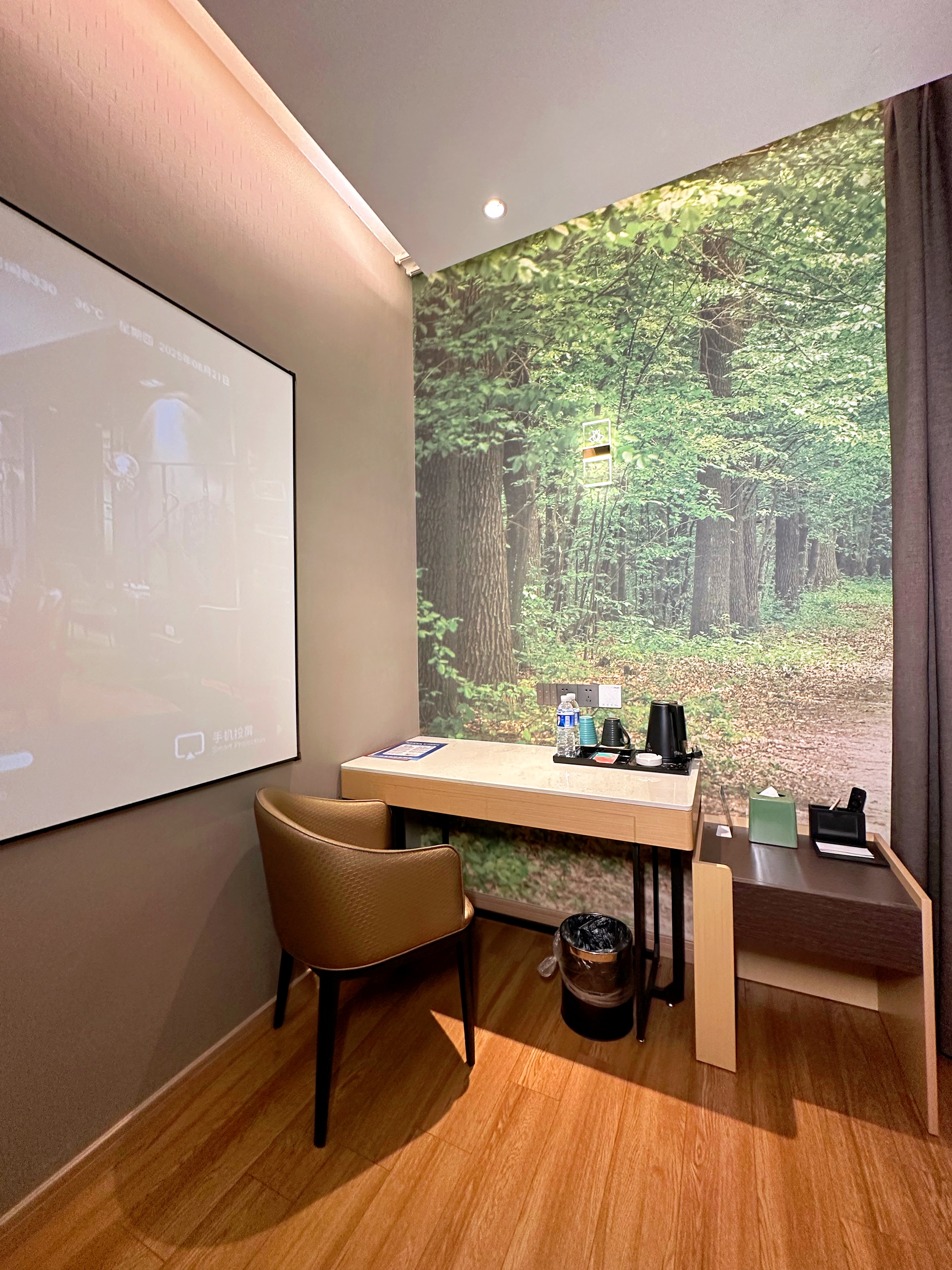 影音悦享轻雅家庭房【高清投影+腾讯VIP+可投屏】