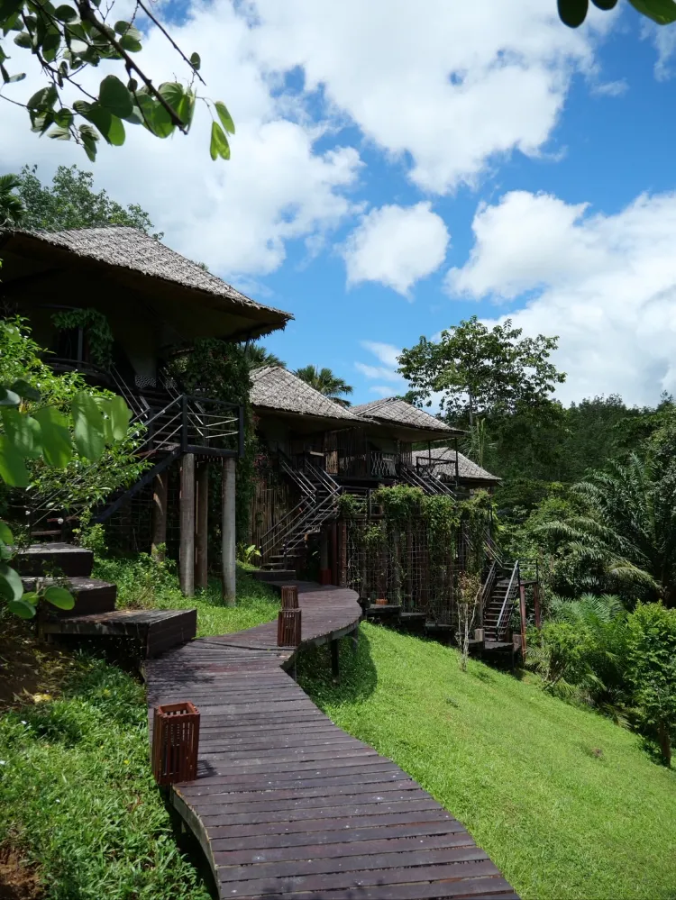 Exotic Top View Double