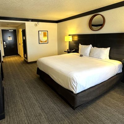 優質大道景觀特大床 OYO拉斯維加斯娛樂場飯店優惠