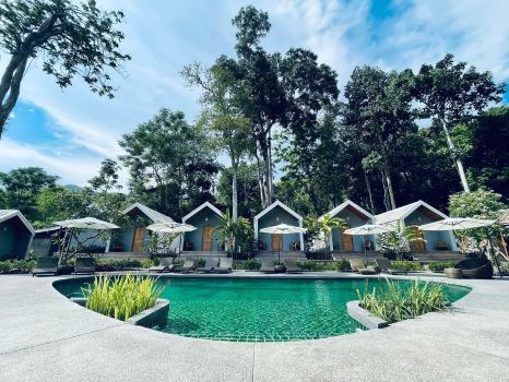 Green Jungle Park