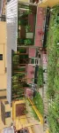 Batang Xiangjuge Hot Spring Homestay