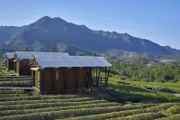 Cloud Starry Sky Homestay