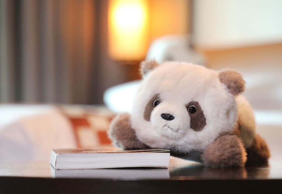 Hyatt Regency Xi'anQin Han Han Panda Family Theme Room