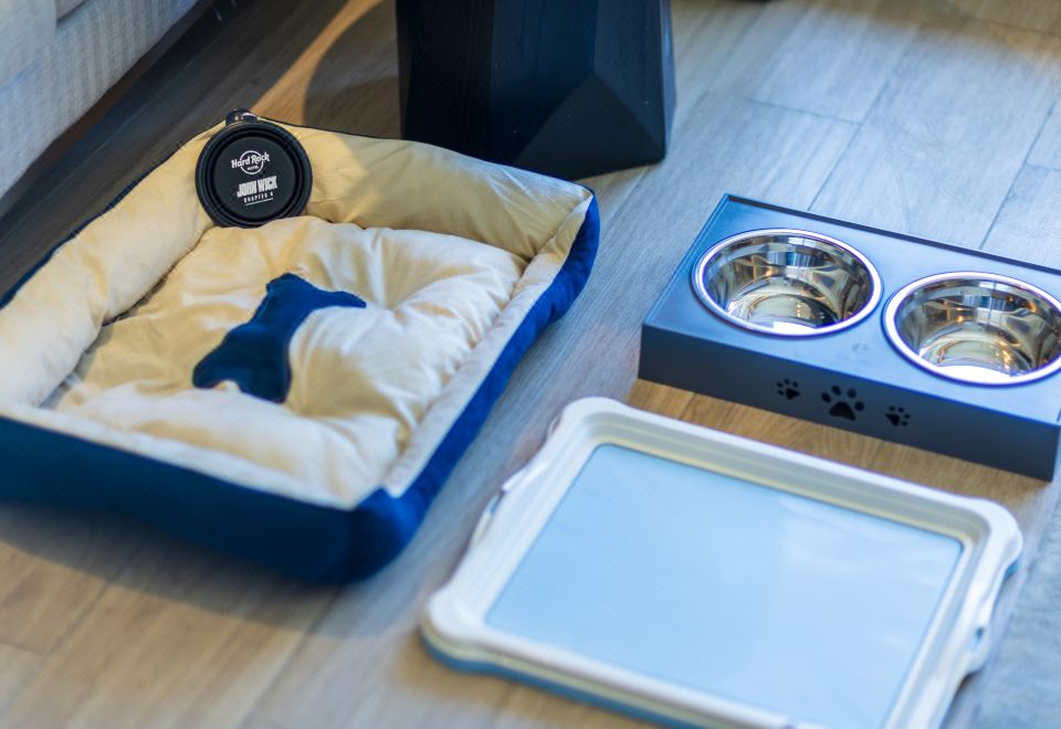 豪華寵物大床房