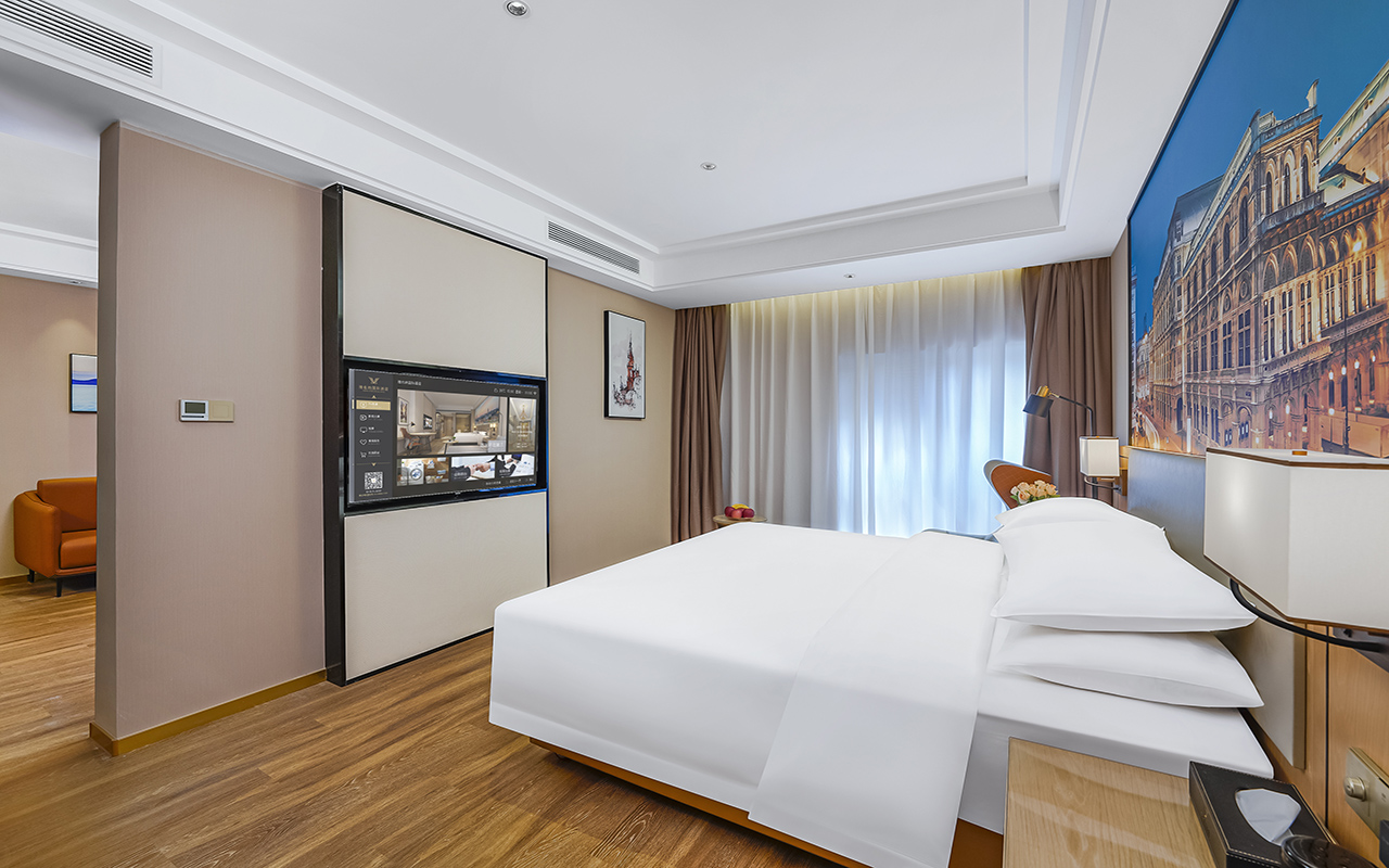 豪華套房（全屋智能+加熱馬桶）