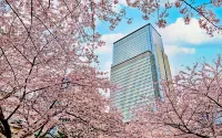 Mandarin Oriental, Tokyo