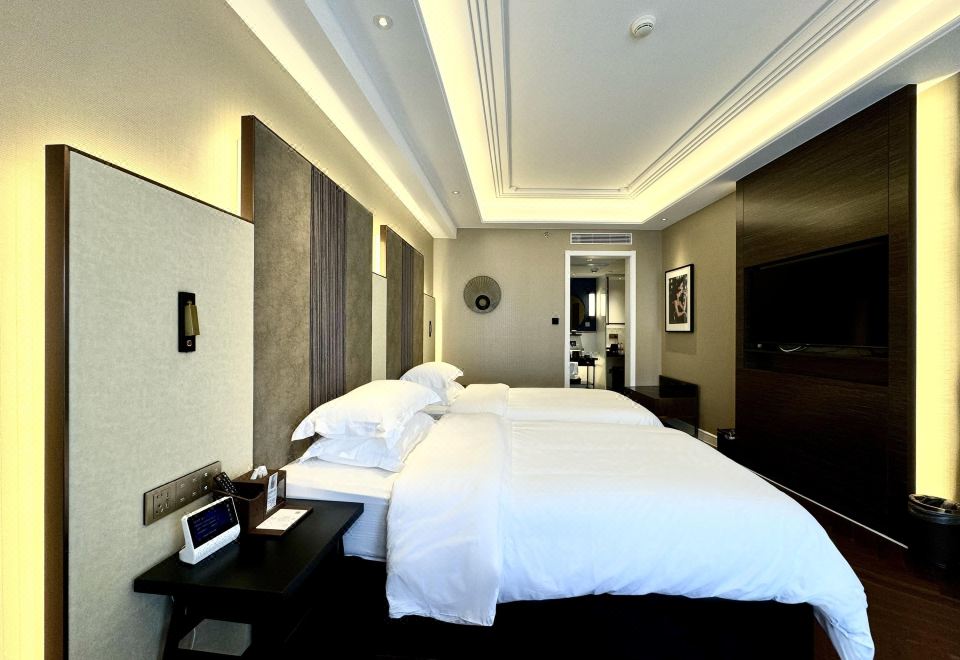 风雅双床房（智能客控+小冰箱+密码箱）