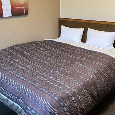 ダブルルーム〔禁煙〕
 ホテルルートイン石巻河南インター クーポン