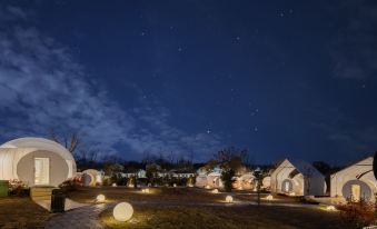 Starry Lodge Bubble House Guesthouse