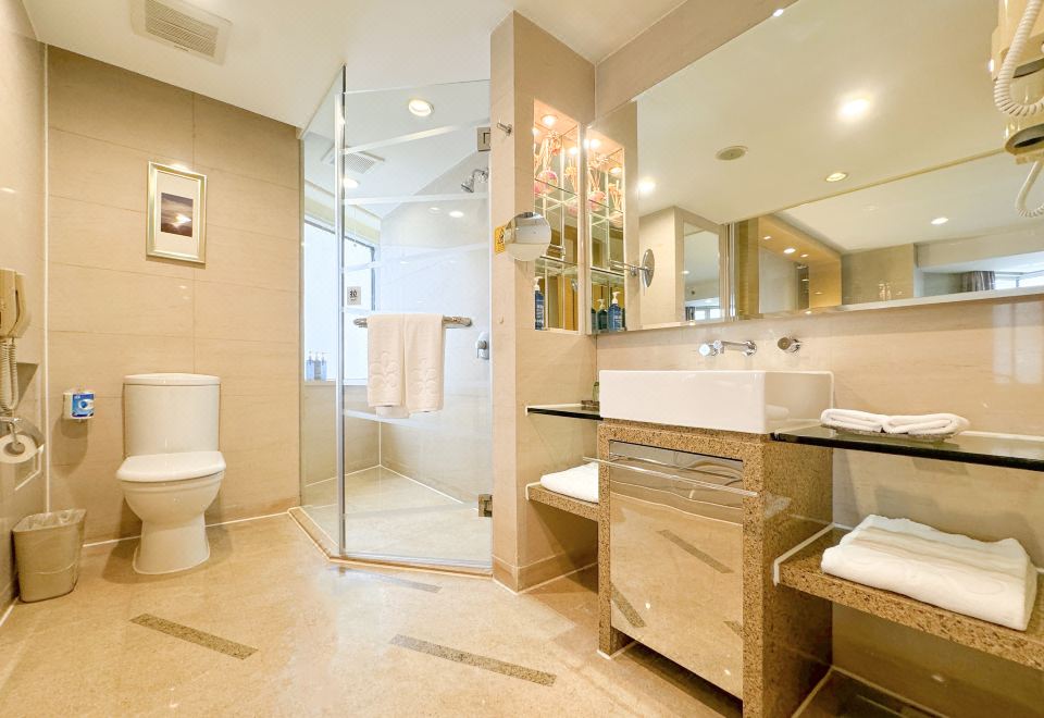 尊享·行政高级套房（会客厅,德国GROHE花洒,双衞）