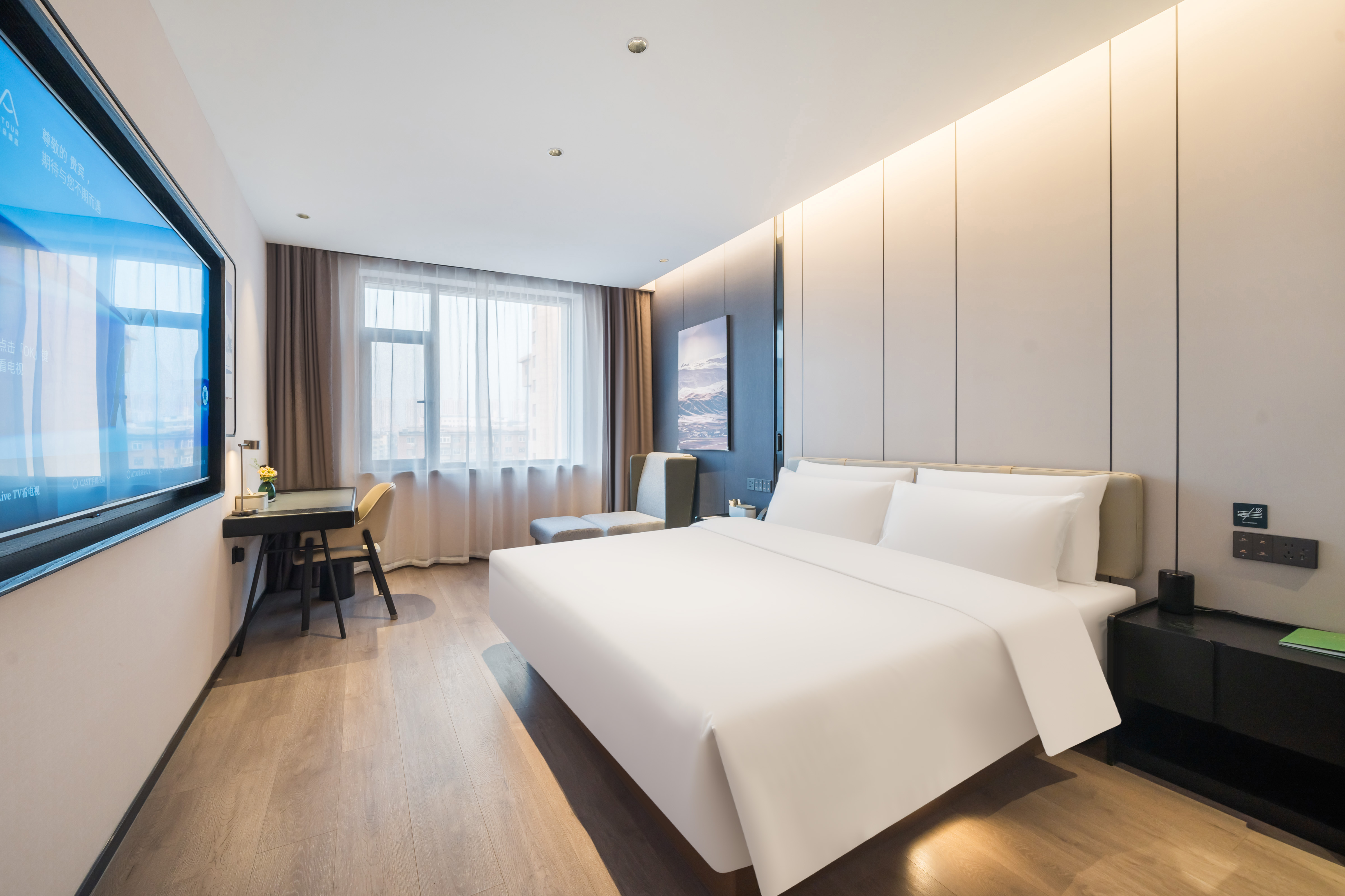 高级大床房（小冰箱+全屋智能+手机投屏）