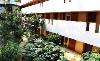 a large atrium with multiple floors , allowing natural light to fill the space and greenery surrounding the area at Airport Hotel