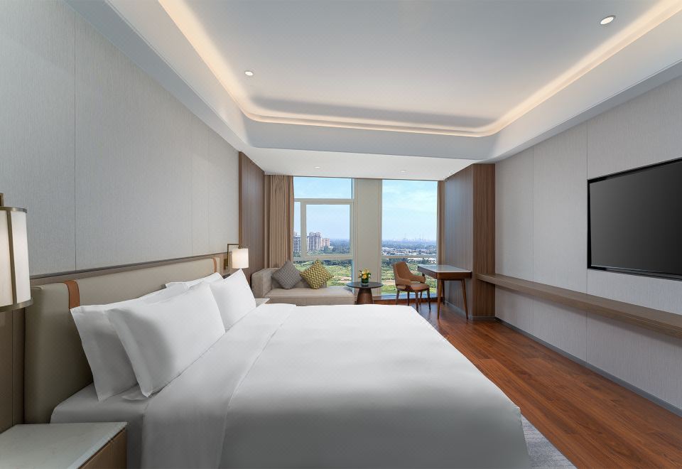 高级大床房（通风落地窗+65寸可投屏+智能客控）