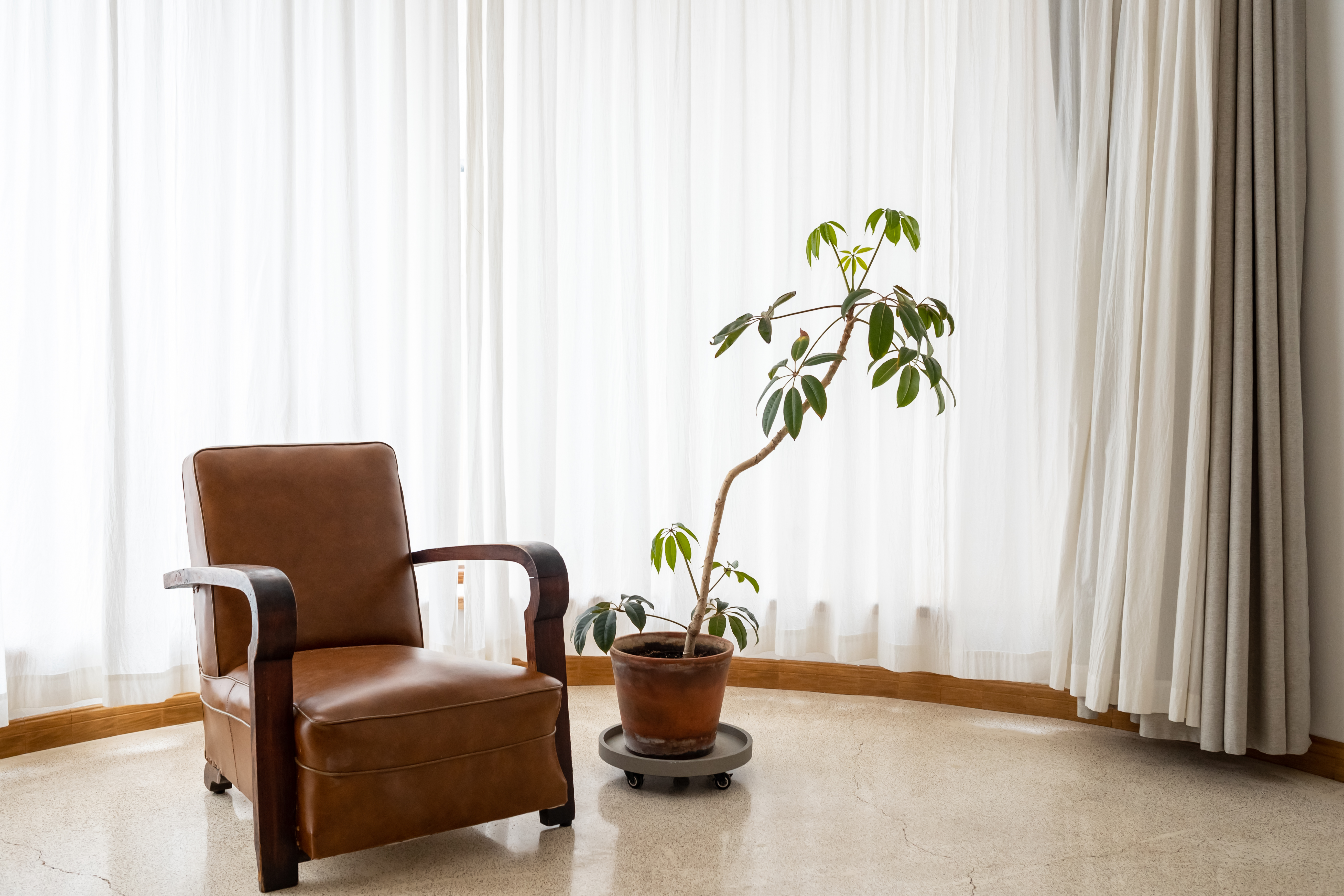 梧桐｜「进口乳胶床垫·水洗棉床品」