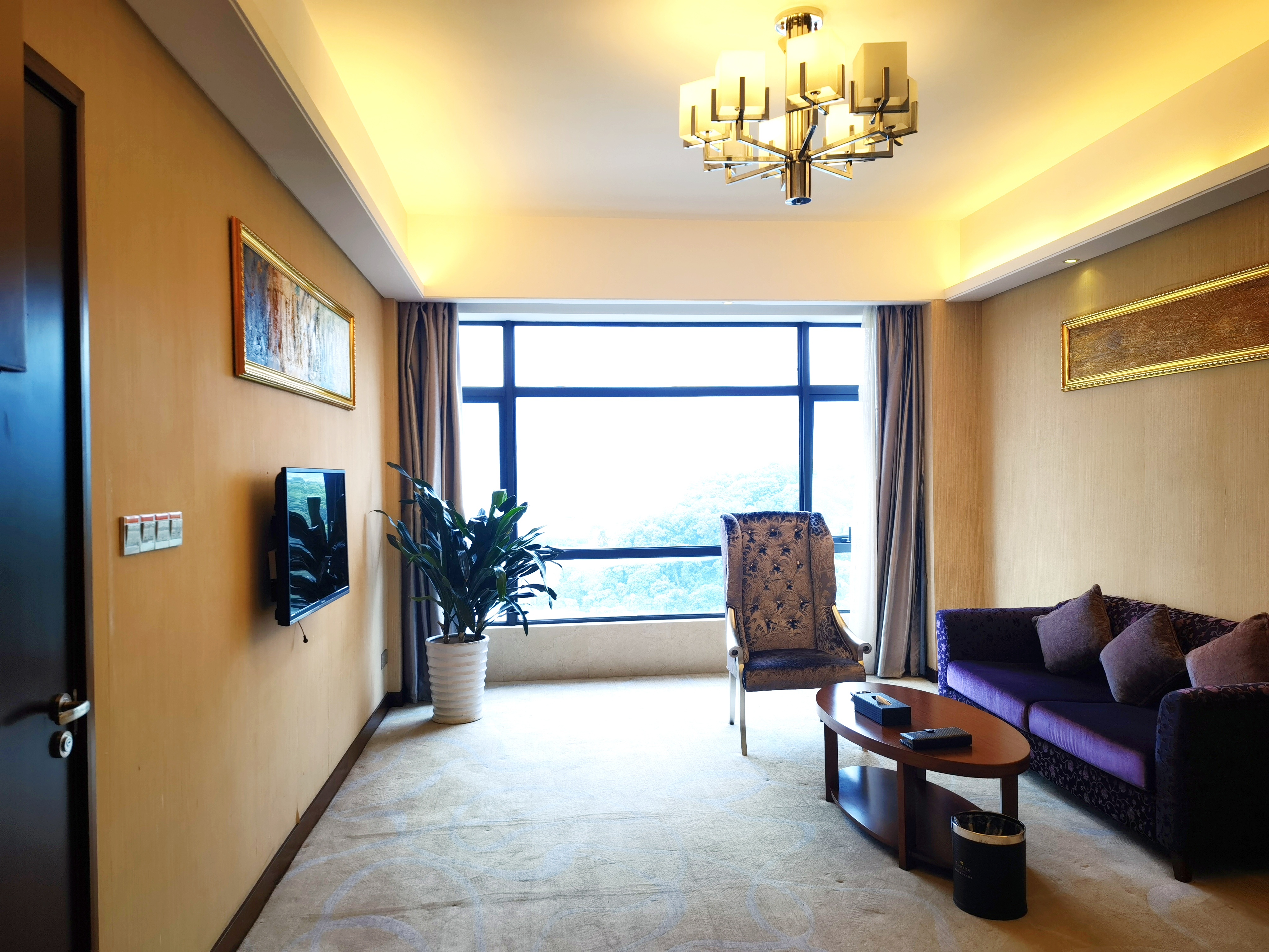 豪华套房（城市观景+慕斯床品）