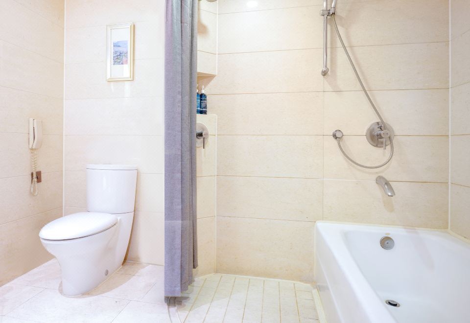 轻悦·舒睡大床间（高层景观,德国GROHE花洒）