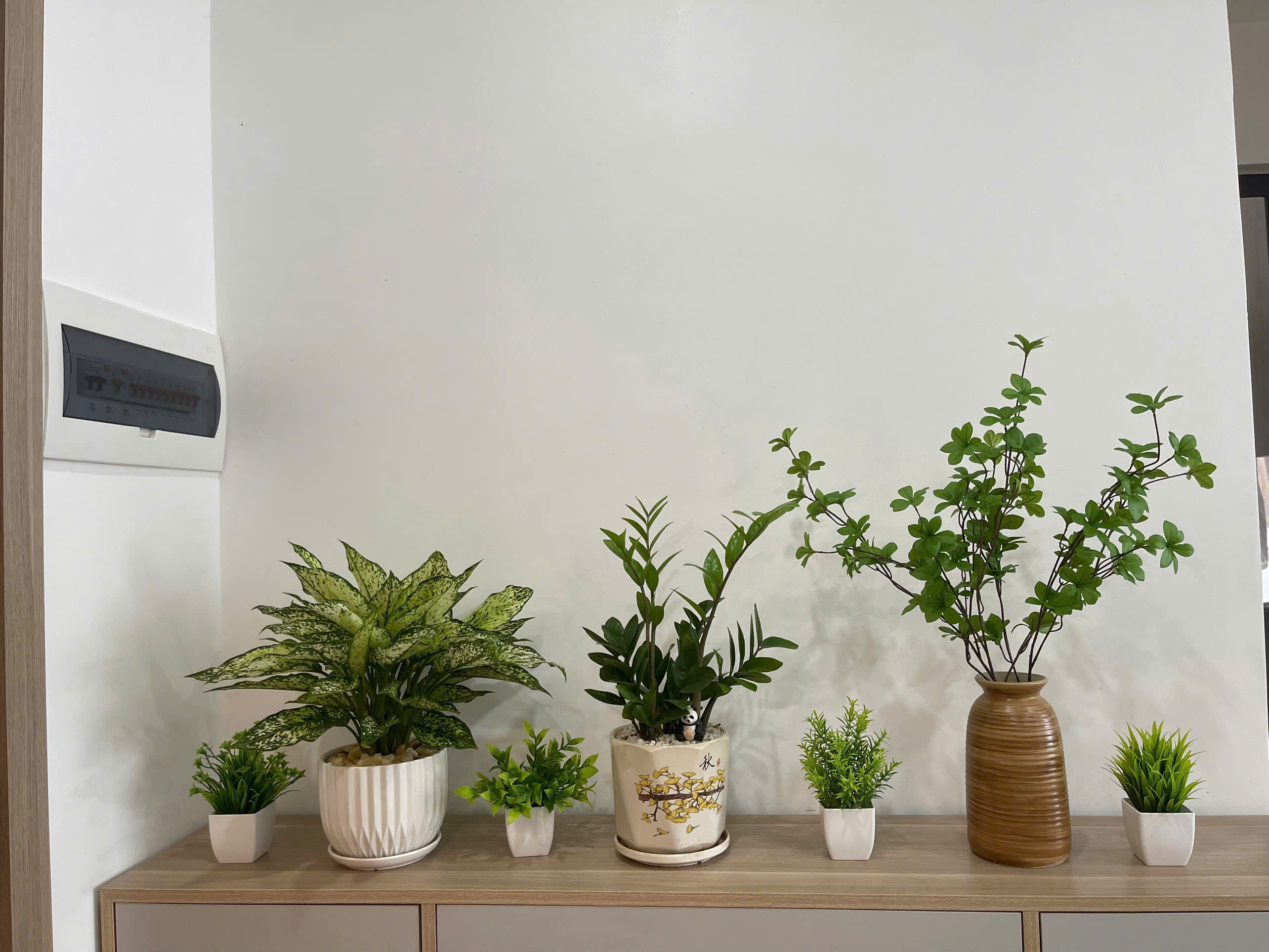 兩臥室陽臺公寓，城景+泳池