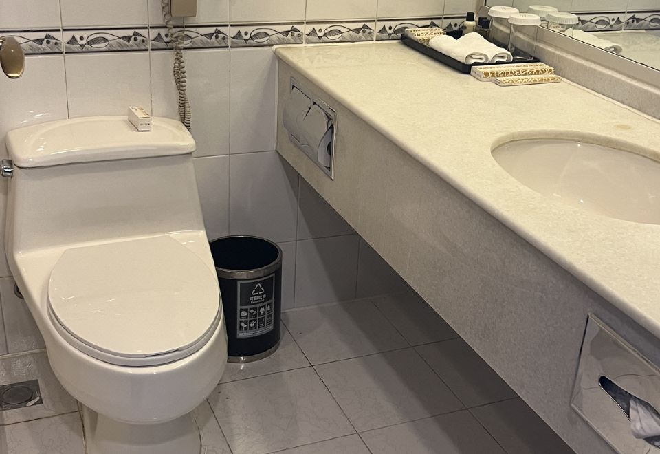 高級大床房（城市景觀+落地窗）