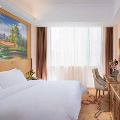 豪華家庭房 維也納飯店（寧波火車站店）優惠