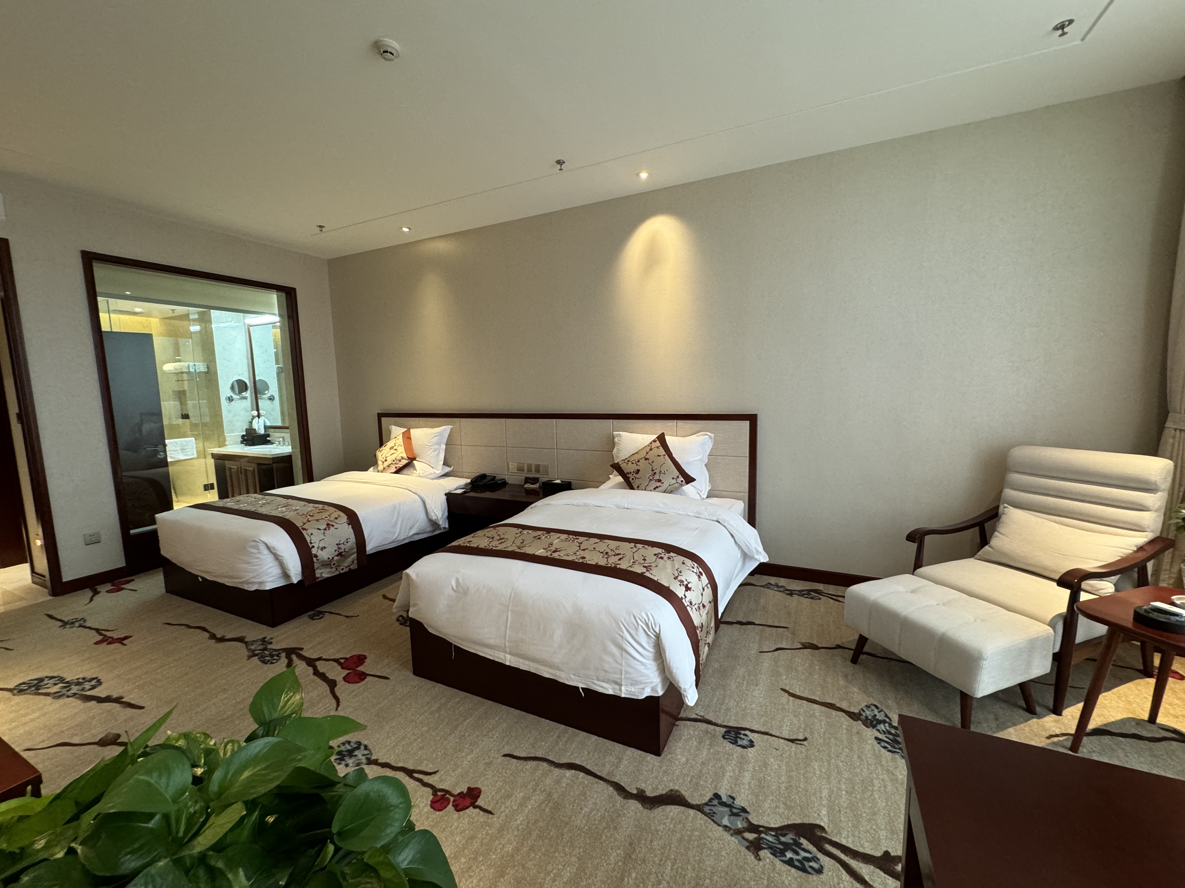 行政轻享双床房