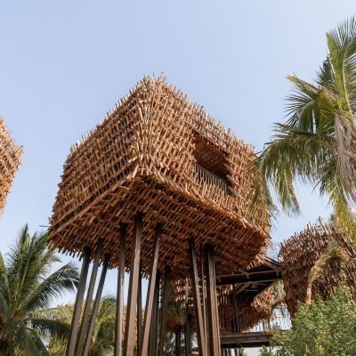 Treehouse Nomade Holbox Promo Code