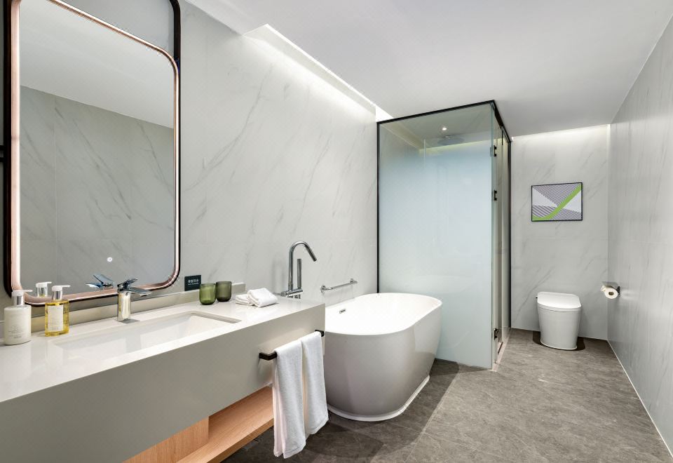 1 King Premium Furnished Balcony Bathtub